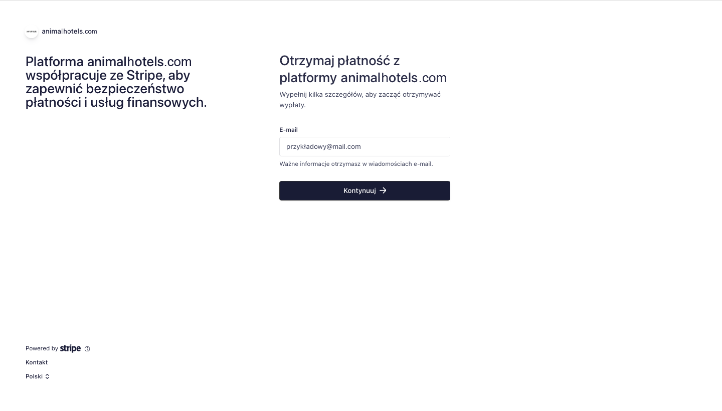 Stripe registration panel - the stage of entering the e-mail address
