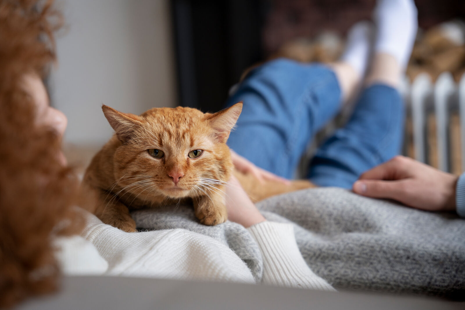 A ginger cat lying on a woman's stomach.