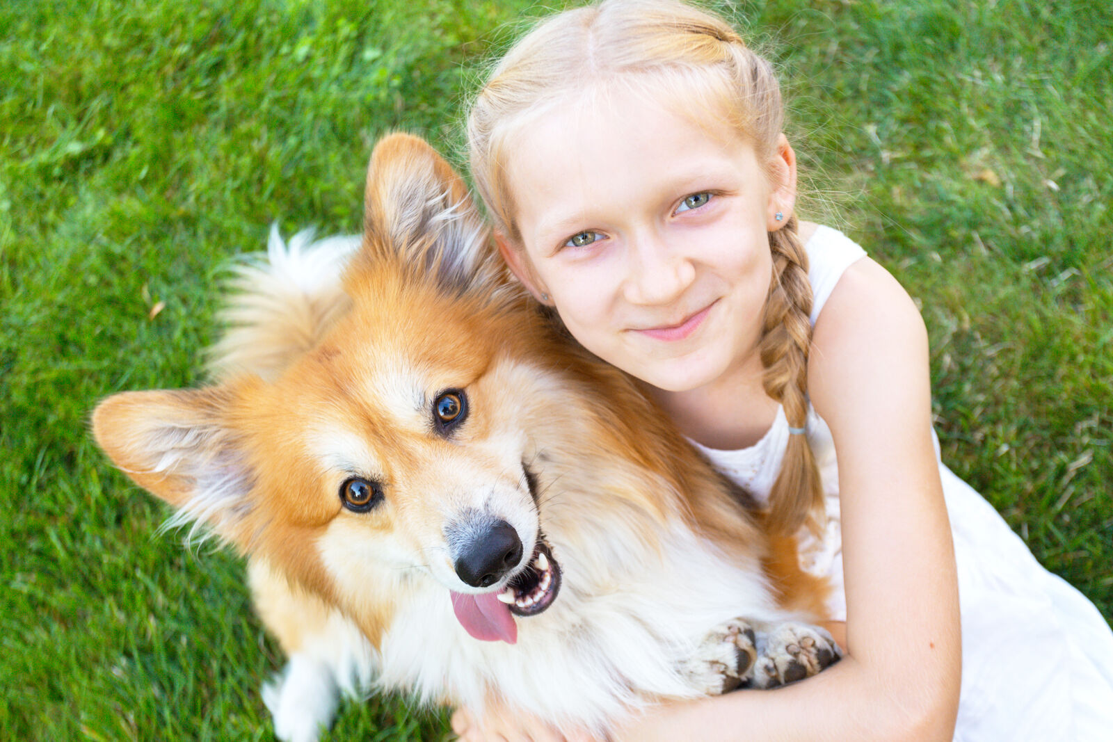 A little girl hugging a dog on the grass.