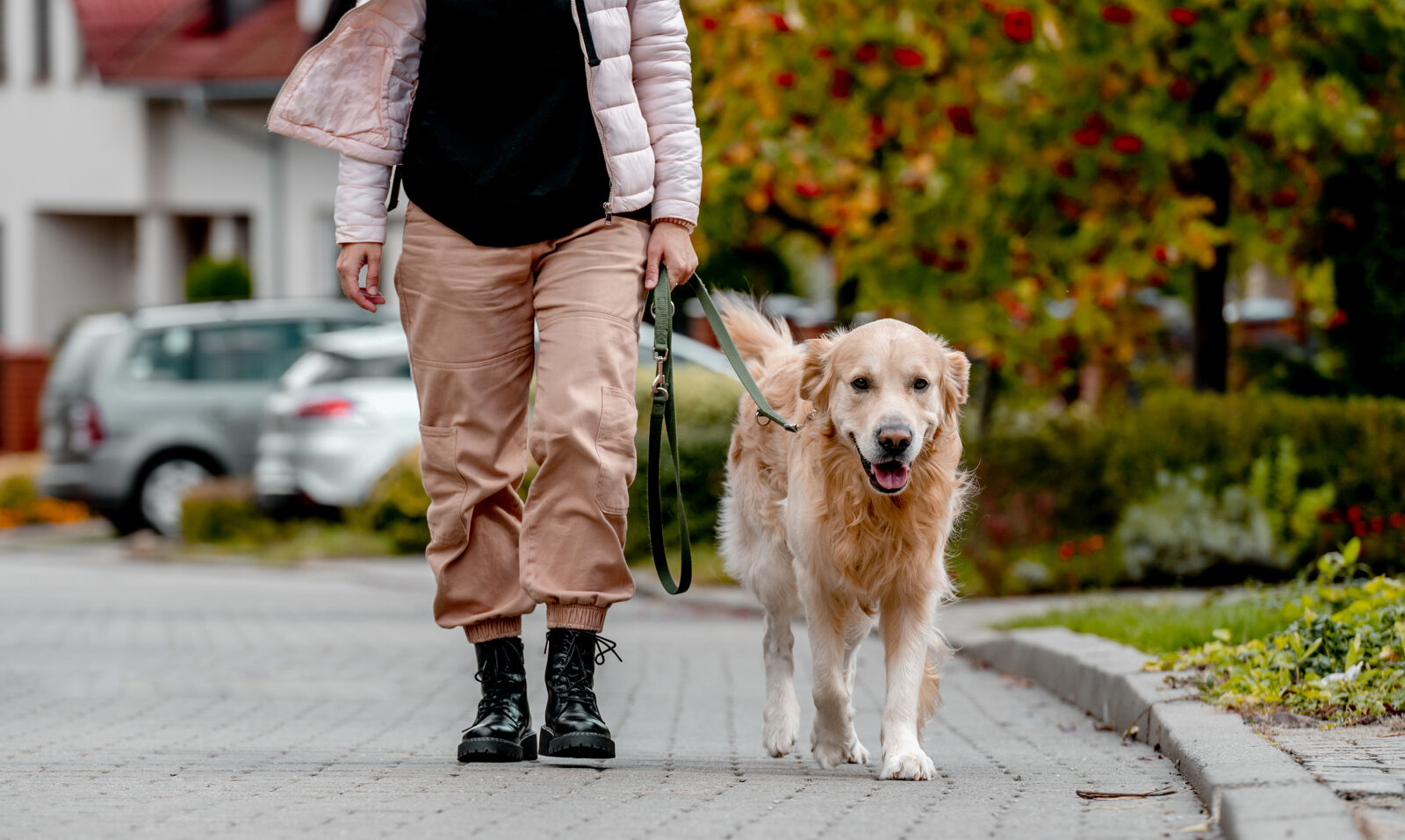 A woman walking a dog on a leash.
