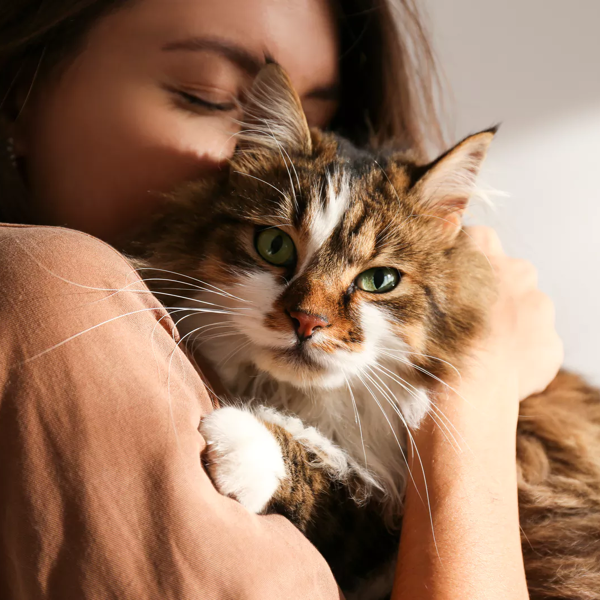 SUBSTITUTE PET SITTER