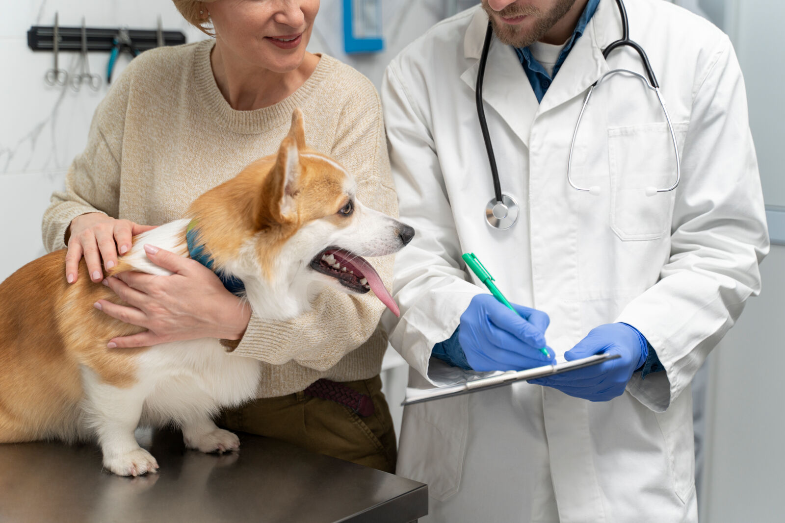 A woman standing next to a veterinarian holding a small dog sitting on the table.